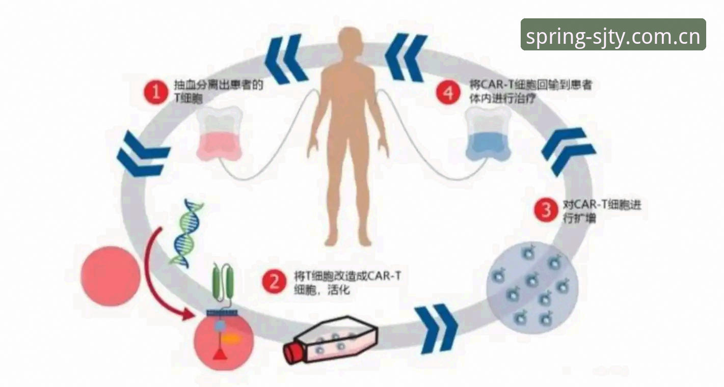 揭秘四季体育最新版本安卓版：一场体育互动体验的革命性突破